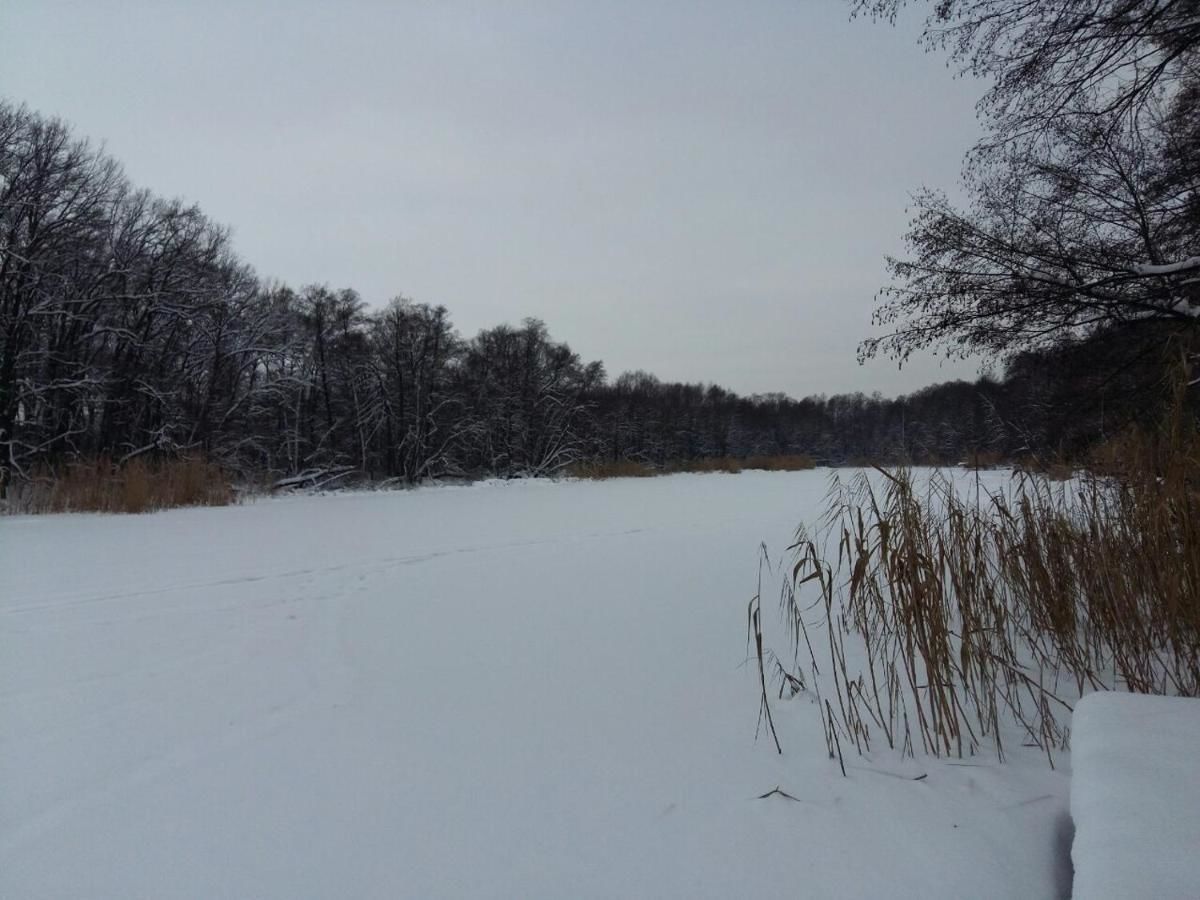 Дома для отпуска Лесная рыболовно-охотничья заимка Snezhkovka-42