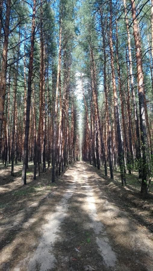 Дома для отпуска Лесная рыболовно-охотничья заимка Snezhkovka-47